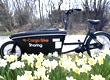 Lastenradsharing: Frhling, Fotos & tolle Preise 