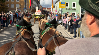 Leonhardifahrt begeistert � heute folgt der Herbstmarkt
