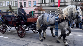 Leonhardifahrt begeistert � am Sonntag folgt der Herbstmarkt