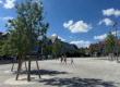 Besondere Ehre f�r Viehmarktplatz