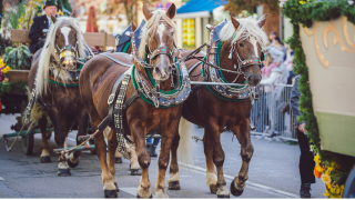 Leonhardifahrt und Herbstmarkt: Bruck l�dt zum Traditionswochenende